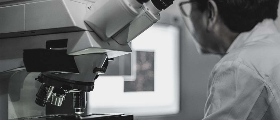 lentivirus stable cell line service