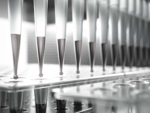 Protocol: CRISPR Knockoout Cell Line Protocol (Part 1): gRNA 